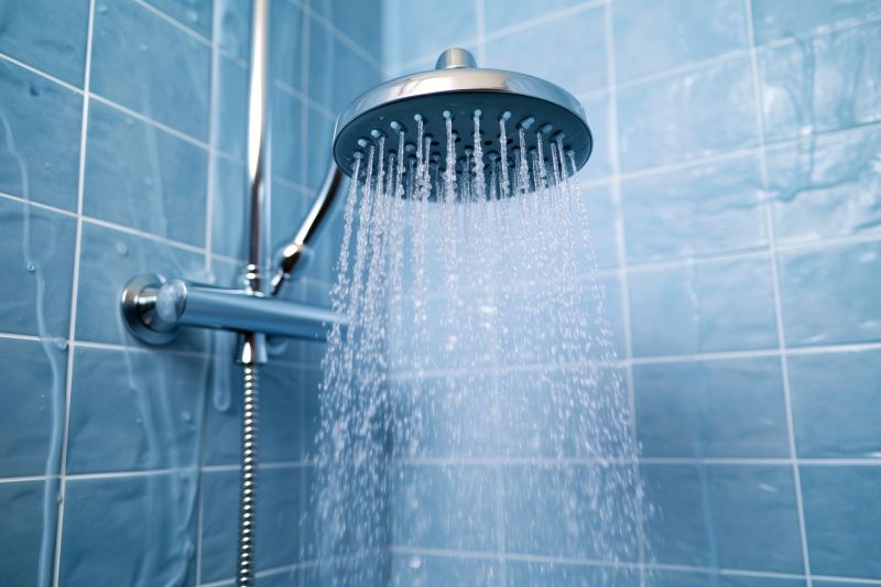 Luxury Shower Head